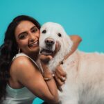 Shanti Priya Instagram – “Happy Birthday 🥳🥳🥳to the light of our lives, @whysodanny6 Danny boy! May your day be filled with joy, laughter, and endless love. Watching you grow is a gift beyond measure. Cheers to another year of amazing adventures together!”💫✨✨✨♥️ 

#shanthipriya #danny #celebration #goldenretriever #hbd