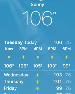 Shari Headley Instagram - Waaaaaaaaay too hot!!!! 😓🔥☀️