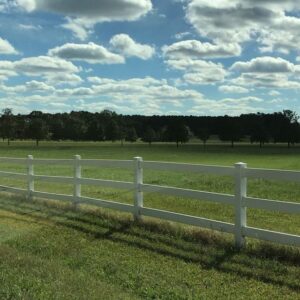 Shari Headley Instagram - That country life...