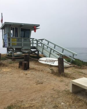 Shari Headley Instagram - This ain't #Baywatch #TheRealDeal #CaliforniaLife #SurfsUp