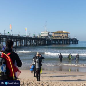 Sharon Lawrence Instagram - Join us on this #WorldOceanDay in the global fight against climate change and its impact on our oceans. Here’s how you can get involved with Heal the Bay:
🔍 Participate in community science: Help monitor Marine Protected Areas at our eDNA sampling event in Malibu on June 22 & 29.
🚯 Keep our oceans clean: Join our June beach cleanups at Dockweiler Beach on June 15 to prevent harmful trash from entering the ocean.
💰 Support our work: Donate to Heal the Bay and help protect our coastal waters through science, education, and advocacy.

Together, we can strive for a healthy, equitable, and safe future for our oceans and planet. #OceanClimateAction @worldoceanday 🌊🌎 All links in bio