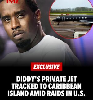 Sharon Reed Instagram - …✈️ 🇺🇸 🛬 🏝️