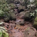 Sharon Carpenter Instagram - Happy #EarthDay everyone. Unless you’re planning to relocate to Mars some time soon, this is all we have. Let’s treat our planet - and all the living beings on it - with love, care and respect. Let’s give out what we expect in return. 🌏💚 #costarica
