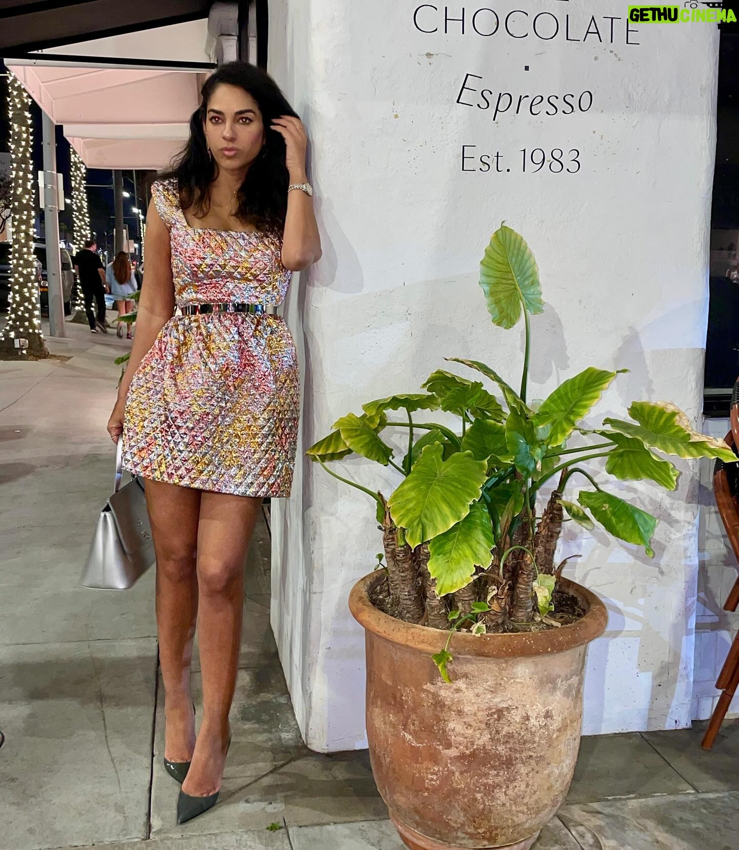 Sharon Carpenter Instagram - A metallic moment in @fashiondrug_by_anahit. This custom dress was simply perfection.🔥 Styling and earrings by @bella_sophia_jewels. Luxury vegan purse by @miomojo_italia. 💖