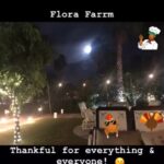 Sharon Case Instagram - The Sea Of Cortez is my favorite of all. Here are vids from my recent trip to Mexico. It was so nice to have a warm beach vacation after a fun long year of working (and being in snowy NYC the week prior) ⛄️#happythanksgiving2018 #thankful ☮️