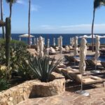Sharon Case Instagram - The Sea Of Cortez is my favorite of all. Here are vids from my recent trip to Mexico. It was so nice to have a warm beach vacation after a fun long year of working (and being in snowy NYC the week prior) ⛄️#happythanksgiving2018 #thankful ☮️