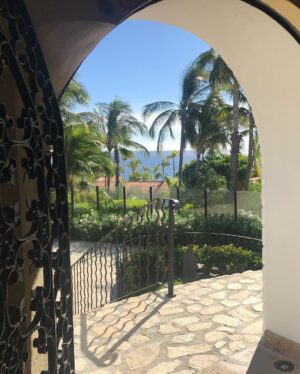 Sharon Case Instagram - The Sea Of Cortez is my favorite of all. Here are vids from my recent trip to Mexico. It was so nice to  have a warm beach vacation after a fun long year of working (and being in snowy NYC the week prior) ⛄️#happythanksgiving2018 #thankful ☮️