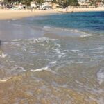 Sharon Case Instagram - The Sea Of Cortez is my favorite of all. Here are vids from my recent trip to Mexico. It was so nice to have a warm beach vacation after a fun long year of working (and being in snowy NYC the week prior) ⛄️#happythanksgiving2018 #thankful ☮️