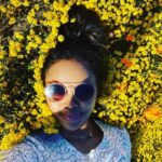 Sharon Leal Instagram - 💛 what brings you joy? 💛 may you tap in tune in and turn on. happy sunday. 💛 the thing is, life is always trying to challenge you. there’s always a longing for something. in the stillness of surrender is everything you care about. we are actually made of love . it is the thing we want the most whether our egos want to admit it or not. #workisneverdone #practice #connection makes me joyful. #nature #family #friendships #food #laughter #music #art #knowledge #stories #movement #gratitude 🙏🏾 first and foremost. hope you can see it. 💗