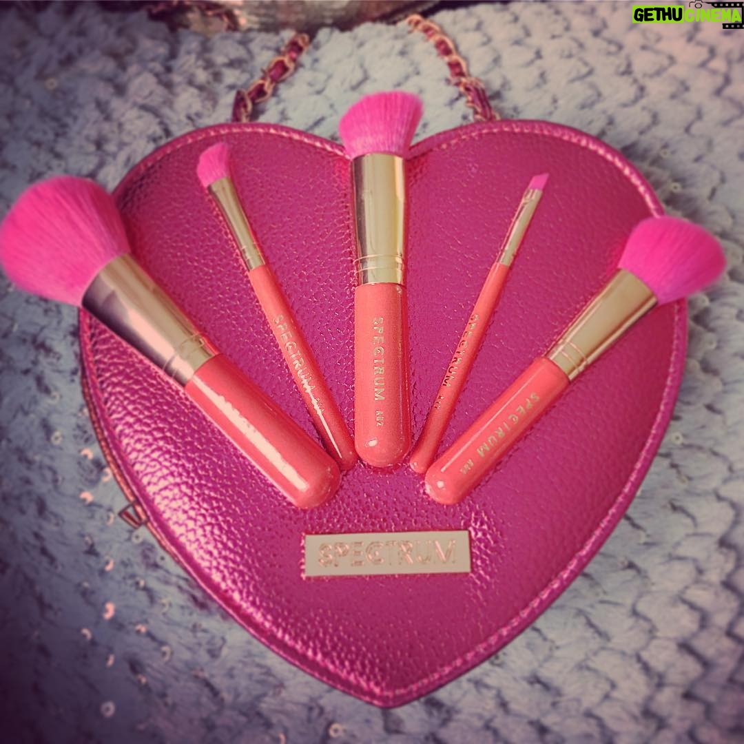Sharon Rooney Instagram - Thank you @spectrumcollections for my new brushes!!!! Amazing packaging as usual 👌😍! Get yours here : https://www.spectrumcollections.com/collections/brush-sets/products/5-piece-sweetheart-set xxx