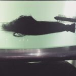 Sharon Rooney Instagram - Bye bye 👋 Donating my hair to charity. I wanted a change and I wanted to do something good. Hopefully it'll help in someway to make a wig for a child. Change isn't always bad. There can be good in change ✌️️💖
