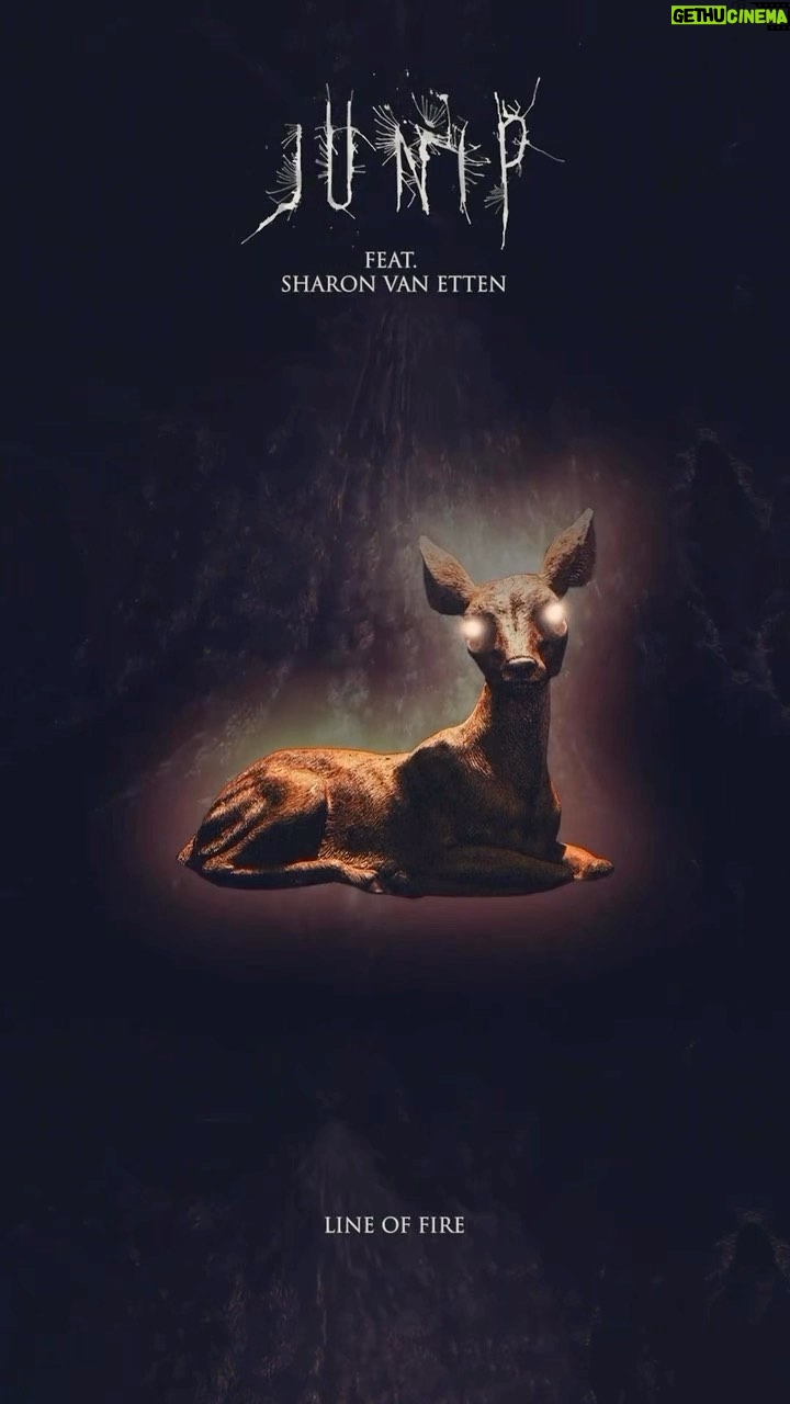 Sharon Van Etten Instagram - I was a fan of @jose.gonz.music before I had the opportunity to tour with Junip in 2010. I was lucky enough to get to sing with him on stage all those years ago. I was able to witness José and his band go so quickly from sweet and sentimental to direct and piercing through their performances, not to mention how José’s guitar playing and songwriting deliver this specific gut punch that is unique to he and his band’s production. It was challenging to learn the complicated melody that José wrote and I worked hard to honor his phrasing. It was a welcome reconnection after not having been able to perform with him in some time. A welcomed reunion set to the backdrop of such a beautiful story. Watch the “Line of Fire” video now at the link in bio.