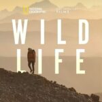 Sharon Van Etten Instagram - I am happy to share that I was fortunate enough to get to play a small musical part in this incredible film and story about Kris and Doug Tompkins directed by Chai Vasarhelyi and Jimmy Chin. Try to get out and see this one or stream it whenever you can. It’s a special one.