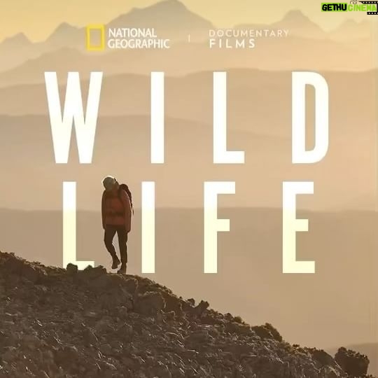 Sharon Van Etten Instagram - I am happy to share that I was fortunate enough to get to play a small musical part in this incredible film and story about Kris and Doug Tompkins directed by Chai Vasarhelyi and Jimmy Chin. Try to get out and see this one or stream it whenever you can. It’s a special one.