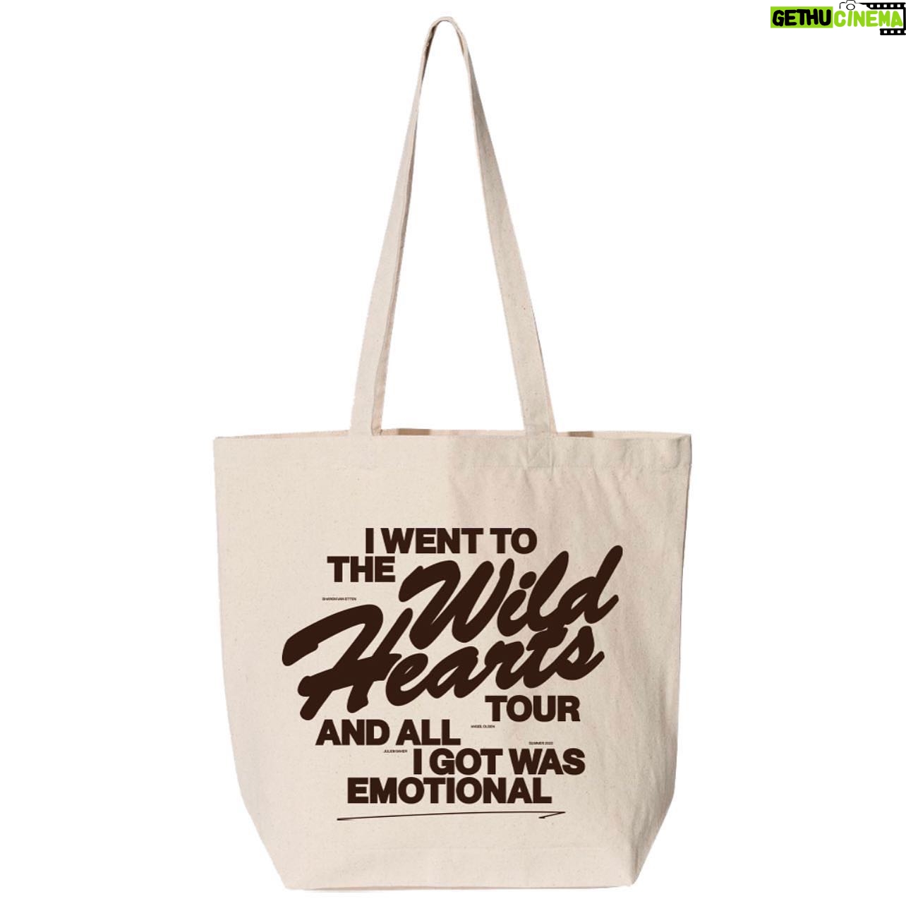 Sharon Van Etten Instagram - We have new “We’ve Been Going About This All Wrong” merch along with very special “Wild Hearts Tour” merch available at all of the upcoming shows. Check ‘em out! See ya soon. X