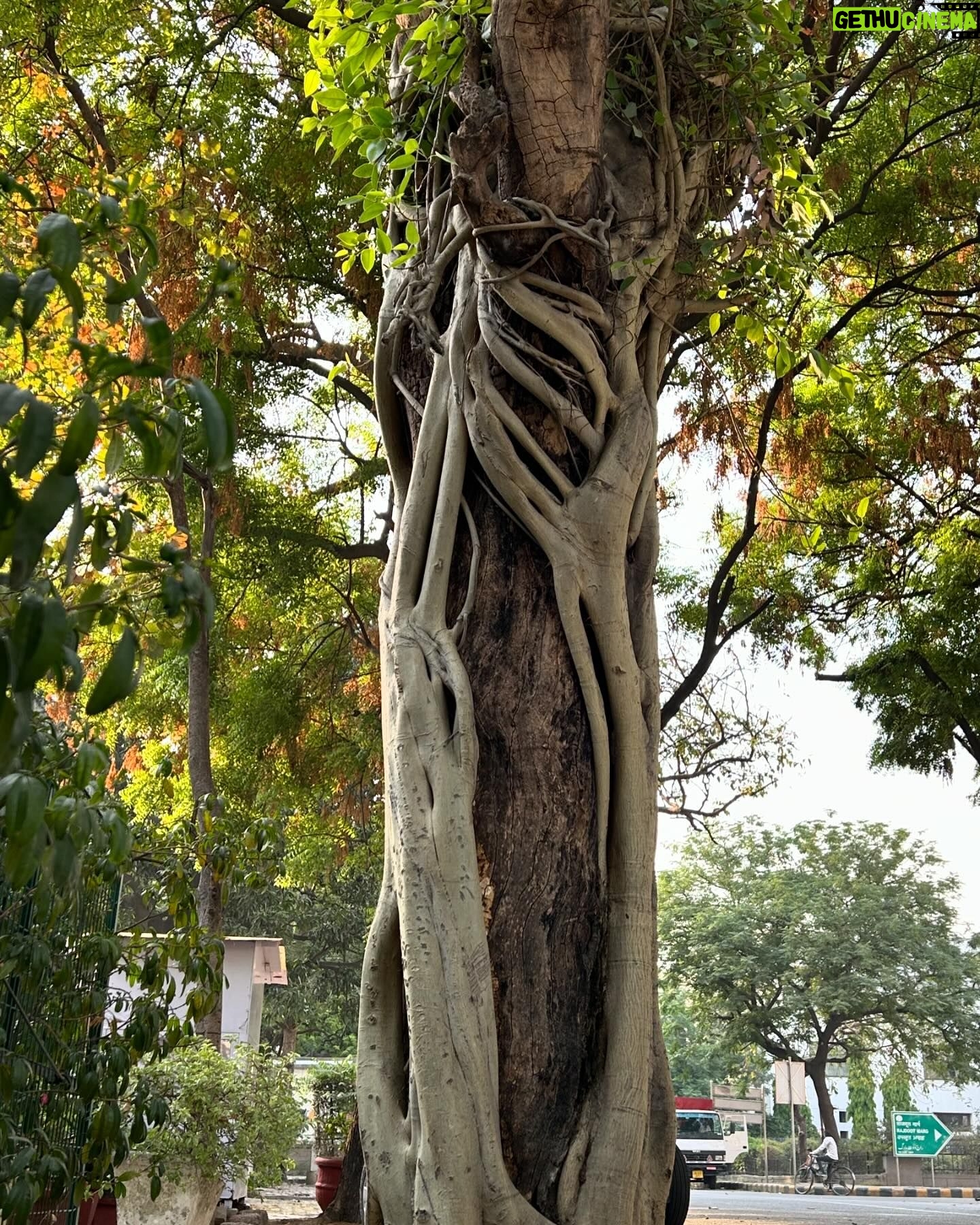 Sheeba Chaddha - 4.5K Likes - Film shoot wrapped in Bareilly. Driving to Delhi to catch flight bk to Bombay and you have some extra time and you go to your school 💜
sigh . And nothing has changed ( except the beautiful exposed brick structure we grew up with has now been painted . Blah ) .
You are amazed how spaces over decades can still be so same . And then you are amazed how much you have changed . Or have you ..
Not one for nostalgia but still nostalgiased 😌💜
That dull ache of bachpan , alive yet irretrievable
#carmelconventhighschool
#backbencher😂
#life