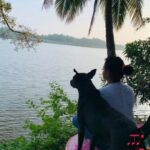 Sheetal Shetty Instagram - ಮೂಕವಿಸ್ಮಿತಾಳಾಗಿ ಕೂತಿದ್ದೀನಿ... ಗುಡಿಯೆದುರು ಭಕ್ತಳಂತೆ... 💐