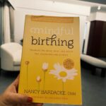 Sheetal Thakur Instagram - Pregnancy can be an overwhelming time. I’m sharing some of my favourite pregnancy books that have proven to be resourceful, knowledgeable and calming for me. There’s something truly special and comforting about sitting down with a good book, especially when we are overwhelmed with social media, pregnancy apps and all of the unsolicited advice you seem to get from just about anyone you meet (Even if they don’t have kids). Perhaps you will find these books helpful as they have provided me with endless insights and wisdom when it comes to preparing my body and mind for what is and what’s to come.