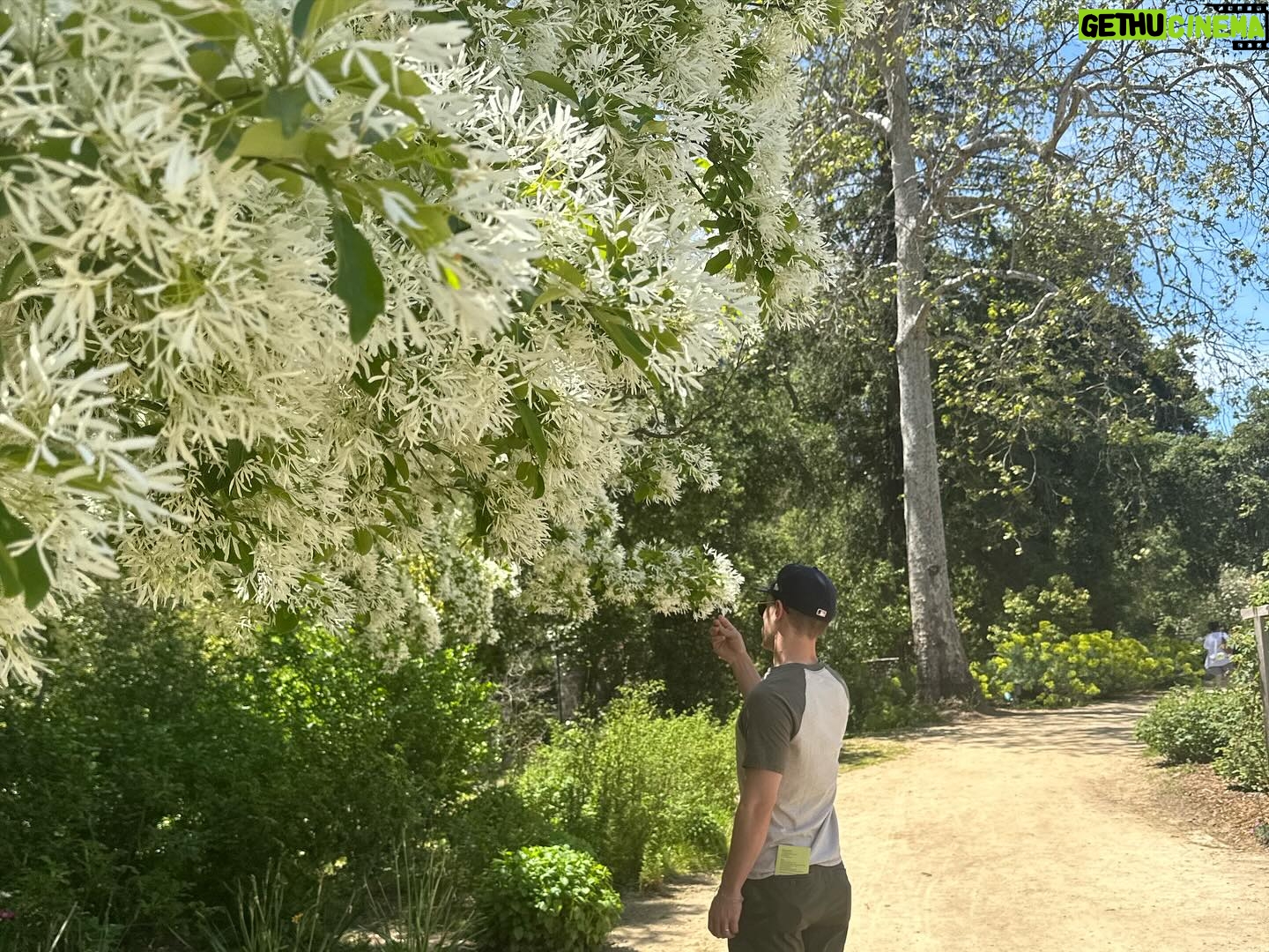 Shelby Wulfert - 614 Likes - April was celebrating Audrey’s birthday 🥳 going to the botanical gardens with my sweet Lu 🪻 book club went on a field trip to a wine bar 🍷 watching Bine try on wedding dresses and look like a princess in every single one 👰🏼‍♀️ Lu going to TX to meet our tiny new nephew Witten 💙 getting to watch my friends shine on screen at the premiere of Sid is Dead 🎬 of course more snuggles with Lando and Vic 🥰 my ears happily listening to Maddy’s new song she wrote 🎸 mom and Denise hosting a donation drive for their charity organization 👡 and a cascade of calla lilies 🌷