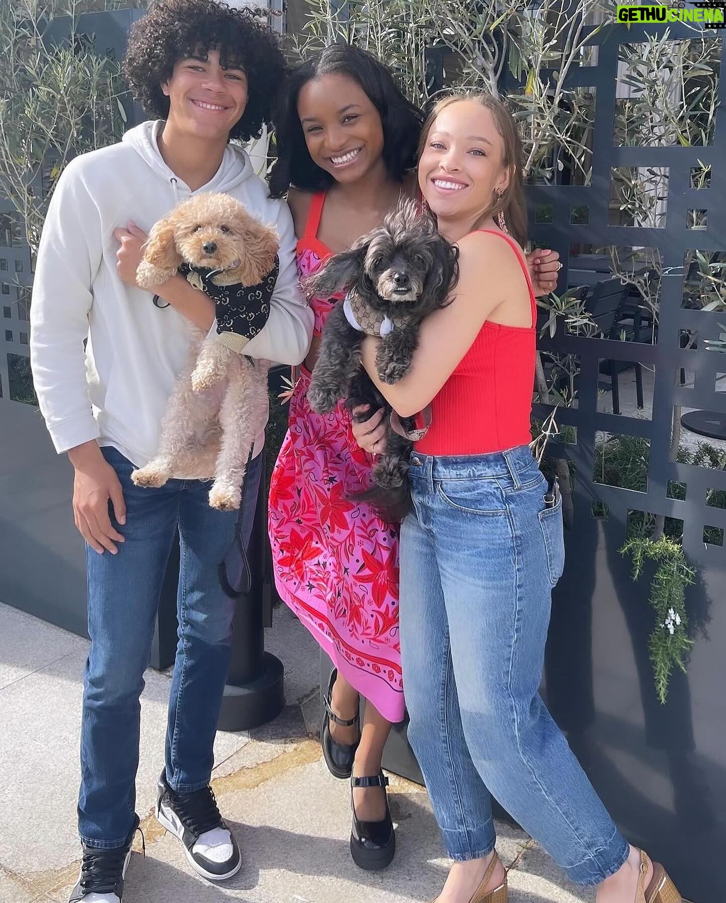 Shelby Simmons Instagram - At the premiere of @arthurthekingmovie with the best companions a girl could ask for! πΎπ @lionsgate #Tribe #ArthurTheKing
