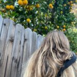 Shelby Simmons Instagram - Feeling very bright today ☀️🍊🌳
