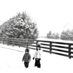 Shenae Grimes-Beech Instagram - Snow day photo dump ❄️ We made it back to Tennessee just in time for it to turn into a winter wonderland!! 📸 by my talented husband who’s gonna offer mini 20 minute photo sessions to local families, creators and businesses tomorrow before the snow’s gone. If you’re in or nearby Franklin/Nashville and want to capture some sweet snowy moments, DM @photosbybeech to book in — he’s running a locals promo for tomorrow and Wednesday!