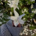 Shi Shi Instagram - Goodbye Spring , 근데 날씨 너무 좋잖아.. 🥺🍃