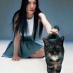 Shi Shi Instagram - 「有辦法用自己最愛的領域來當工作真的是很幸運的事，就算某時候很疲累，最核心的熱情總是能把自己拉回來，可以跟大家用感受互相連結著，能夠留下自己的某部分在地球上，是很幸運的一件事。」 - 孫盛希 SHI SHI SUN 跟貓撞臉了😼 @mindly.journal Creative director & stylist - @syanleung Photographer - @leung_wai_leung Make up - @deepmakeup Hair - @hillnexleex Videographer - @iiimanust Producer - @jazika_h @emotional.eyes Text - @emotional.eyes Styling assistant - @o0cqndice Photo assistant - @ntfntf Wardrobe - @sandroparis #sandroparis #SandroSpringSummer2024 #MINDLYJOURNAL #SHARETHESAMEMIND