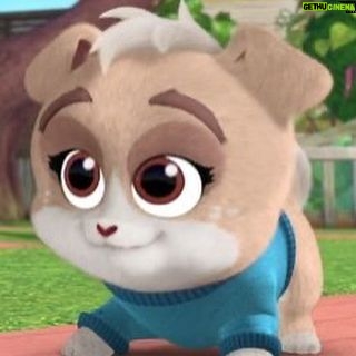Shiloh Nelson Instagram - Making Disney history today. Voicing Keia since I was 8 has been such a joy and privilege. I’m honored to announce that Puppy Dog Pals has received an unprecedented season 5 by Disney. An honor rarely given to shows. I’ve been blown away by the response to the show and the outpouring of love you guys have shown it. I love seeing all the pictures of you with Keia stuffed animals and toys. This team is working hard to bring you a great next season. Thankful and blessed. Aaaaaand.... done! #puppydogpals #keia