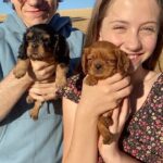 Shiloh Nelson Instagram - The last puppy though 😍 😭 w/ @iamelijahnelson