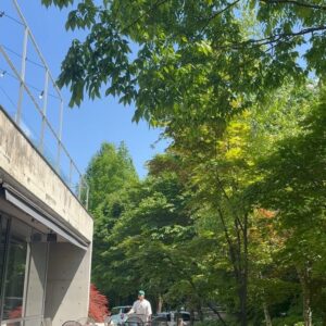 Shim Jin-hwa Instagram - - 날씨가 너무 좋았던 어제💙 일찍 아버님 뵙고 헤이리마을 가서 밥먹고 산책🌿