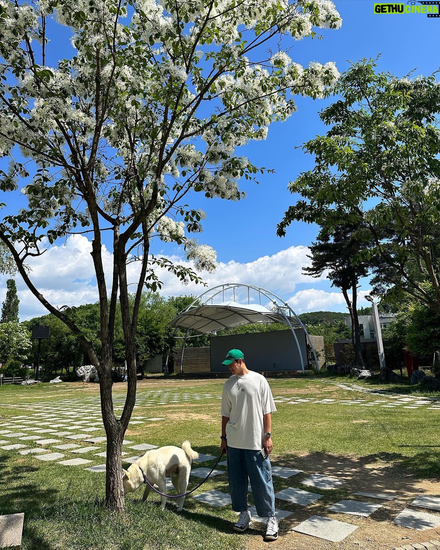 Shim Jin-hwa Instagram - - 날씨가 너무 좋았던 어제💙 일찍 아버님 뵙고 헤이리마을 가서 밥먹고 산책🌿