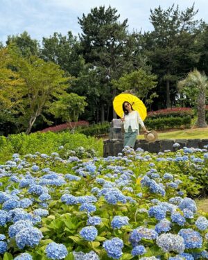 Shin Dong-mi Instagram - 🌼🌿🩵