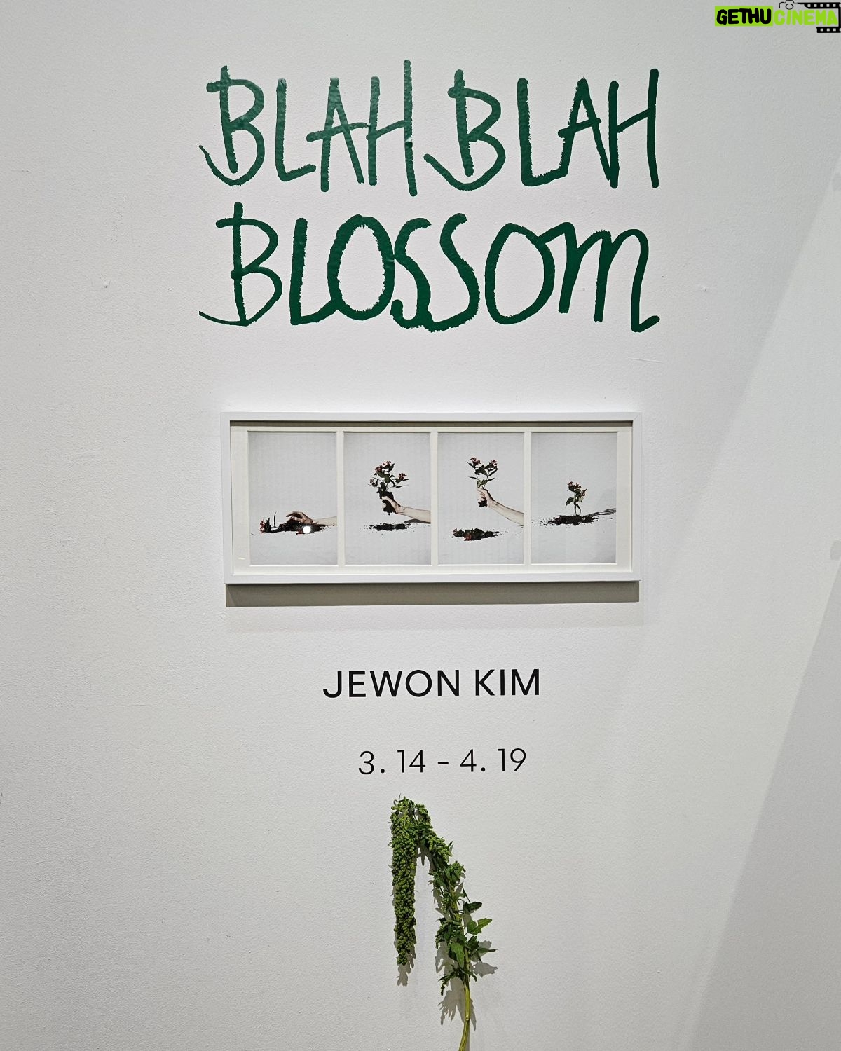 Shin Ae-ra Instagram - 액자에 비치는 내모습과 꽃을 함께보라는 작가의 말이 마음에 와닿았다. 강렬하고 화려하게 활짝 핀 꽃들도 아름다웠지만, 윤기잃고 저물어가는 고개숙인 꽃한송이의 아름다움. 원숙과 겸손의 향기를 품은 그모습, 닮고싶다. 자연을담은 멋진 핑거푸드, 환경보호를 위한 학생들의 작품 전시 볼거리, 먹을거리 풍성했던 #GalleryRoyal #RoyalLounge