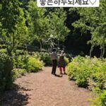 Shin Ae-ra Instagram – 산속에서 눈을 떴어요
어젯밤엔 별을 봤구요
도시에서 놓친 것들 만끽하고있네요
여기 강추요 #내마음의외갓집
자세하게 보고싶으시면 몇주만기다려주세요^^