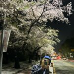 Shin Bong-sun Instagram - 봄…. 밤…… 벚꽃🫶