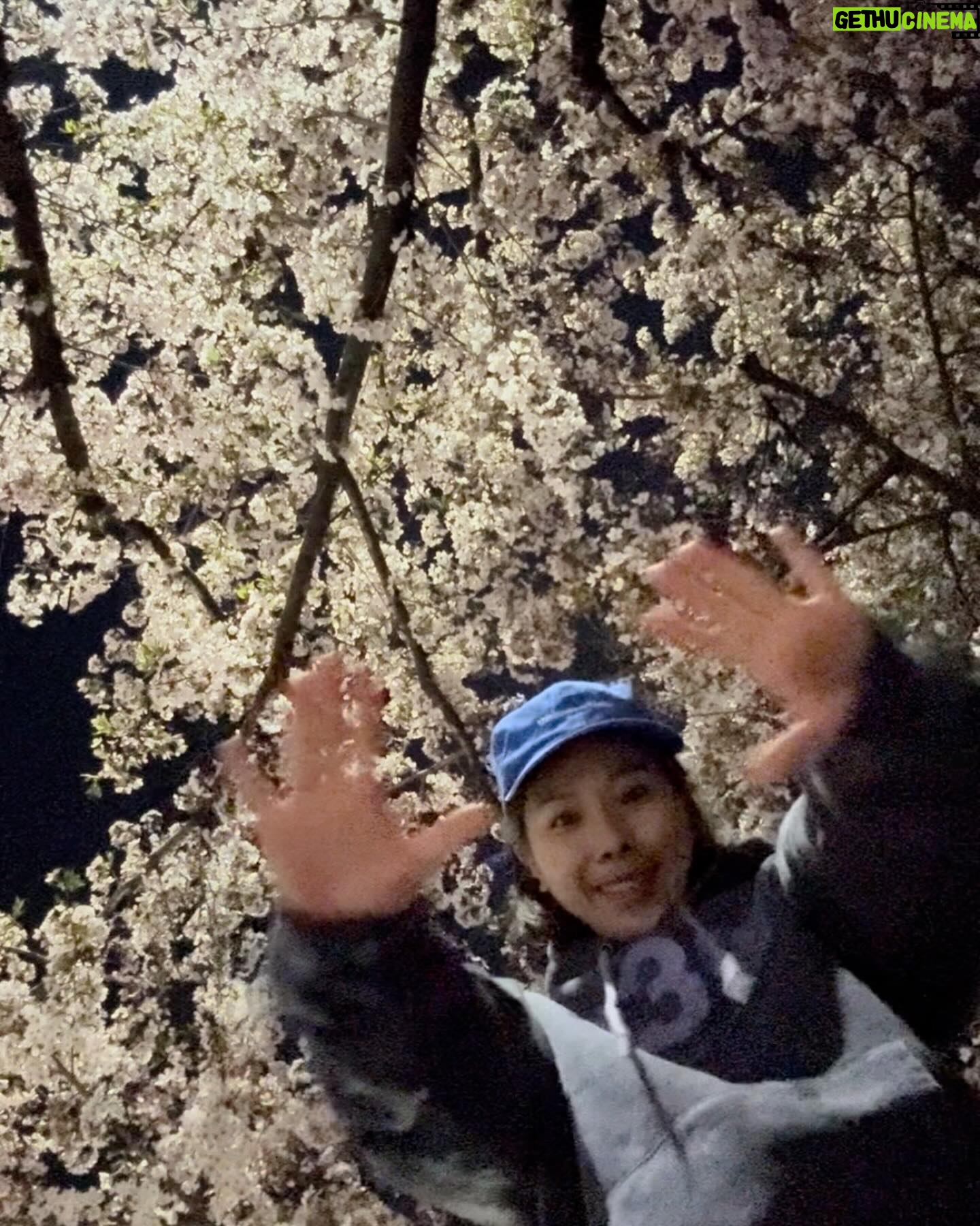 Shin Bong-sun Instagram - 2024 벚꽃보러 밤마실이 엊그제 같은데 어느덧 여름이 성큼 봄이 까마득하게 느껴지는 날씨이다…