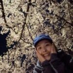 Shin Bong-sun Instagram - 2024 벚꽃보러 밤마실이 엊그제 같은데 어느덧 여름이 성큼 봄이 까마득하게 느껴지는 날씨이다…