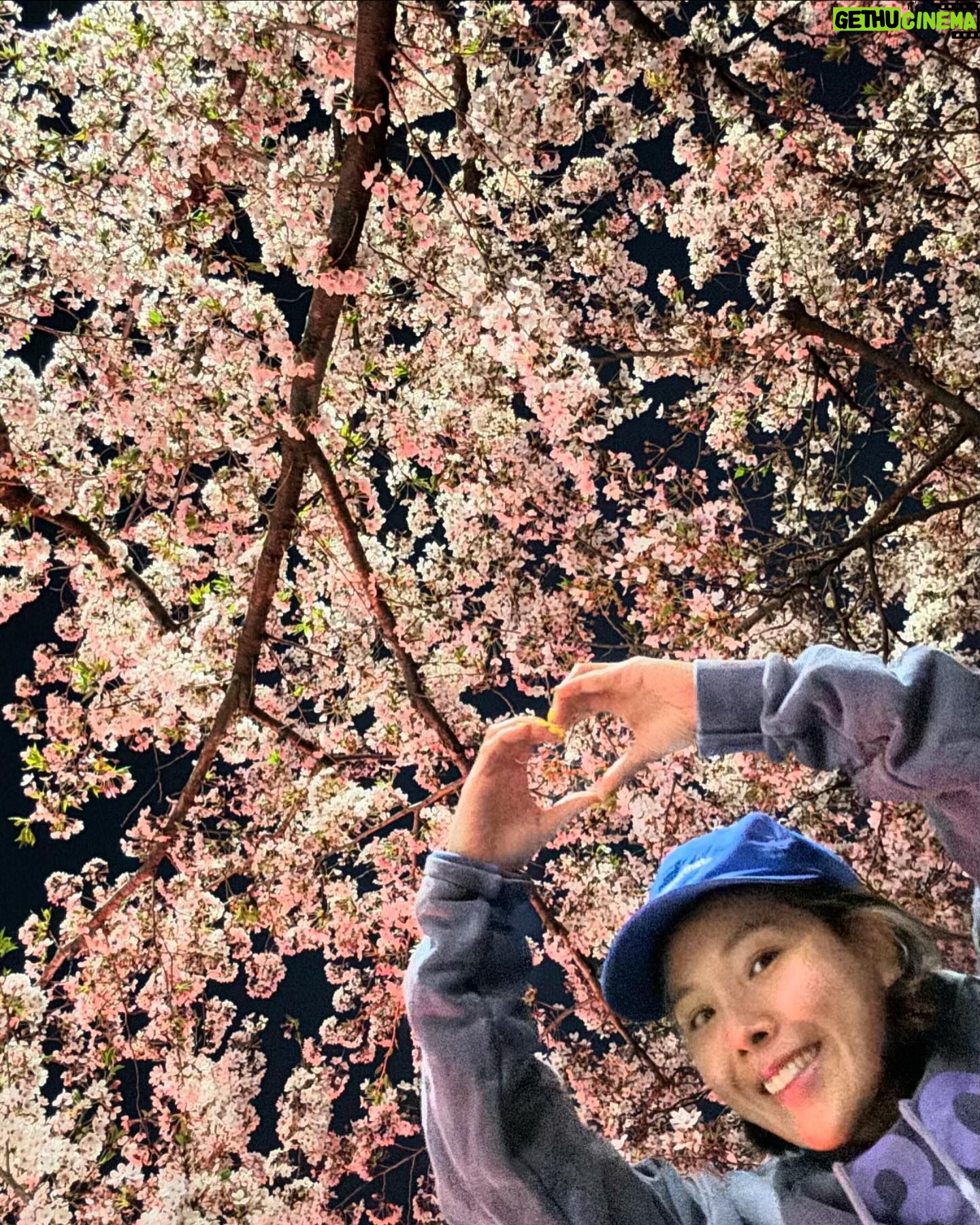 Shin Bong-sun Instagram - 2024 벚꽃보러 밤마실이 엊그제 같은데 어느덧 여름이 성큼 봄이 까마득하게 느껴지는 날씨이다…