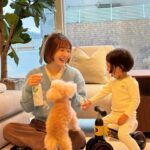 Shin Da-eun Instagram - 애개육아템 추천하고 갑니다 구강기가 아직도 끝나지 않은 호기심 천국 홀리👶🏻와 17살 나이가 무색한 활기찬 봄이🐻 얘네들 방도 같이 쓰는 룸메이트라 울집 필수템이에요 이름도 긔여운 ‘만능 박사 칙 범비’ #버블비 비건 다목적세정 스프레이 에요 장난감 뿐만아니라 봄이가 바닥에 쉬아 실수 했을때,침구류,식탁 까지 모두 안심하고 사용 할수 있어요! 스프레이 입구에 거품 또는 워터타입으로 조절 가능 해서 용도에 맞춰 사용할수 있다는거🫢게다가 코코넛향은 덤이라고요🌿 #신난다은육아👩🏻 #토이클리너