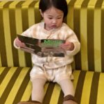 Shin Da-eun Instagram - 넘나 이뻤던 @coldfog.official 가구들🍐 가구가 다 포토존이쟈나🧸 어제 홀리👶🏻먼저 알아보시고 저한테 인사해 주신 분들 진짜 왜케 많은지🤣 넘나 반가웠어요 힣히👋 근데 밖에서 홀리랑 같이 있는 저는 약간 정신이🤪이런상태라 항상 제대로 인사를 못드리는거 같아서 아쉽🥲미야네요.. #신난다은육아👩🏻 #22개월아기
