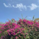 Shin Do-hyun Instagram – p a r a d i s e ~ 🌺