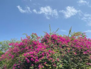 Shin Do-hyun Instagram - p a r a d i s e ~ 🌺