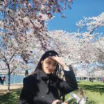 Shin Do-hyun Instagram - 여의도 한강 공원 아님 석촌호수 아님 수학여행 온 거 아님