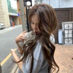Shin Hye-jeong Instagram – 사랑해시태그 소라
아기냥이 스타 별이🐾
@sua_cxx 채아가 찍어준 소라❤️
#사랑해시태그
