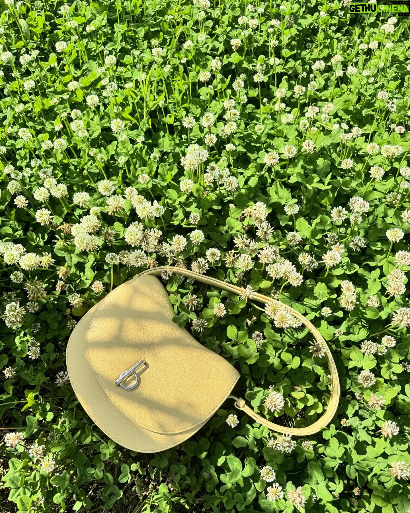 Shin Hyun-ji Instagram - My new rocking horse bag 🐴 #burberry #ad @burberry
