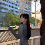 Shin Sae-rom Instagram - 벚꽃 보러 갈래 ?🌸