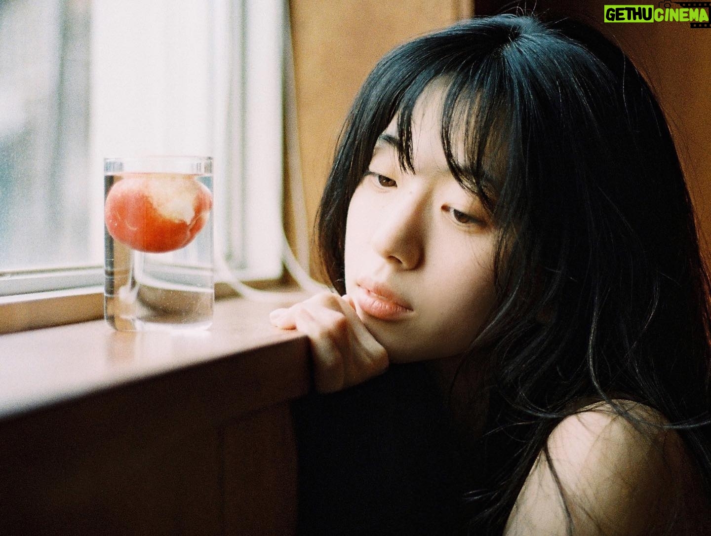 Shin Se-hwi - 27.6K Likes - 여름아 빨리와줘
