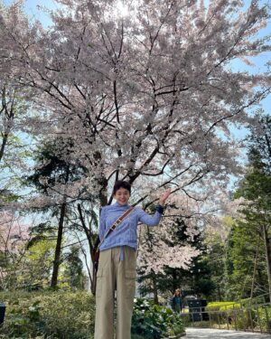 Shinobu Otake Instagram - 仙台公演無事に終わりました。
連日温かい拍手を頂き、
「また、必ず来ます‼️」
と叫びたくなりました。
ありがとうございました。

朝ホテルの横に咲いてる桜を見ながら劇場に入り、
いつものようにストレッチをして客席を走っていたら、また照明部さんが、楽しいことしてくれた🤣
そしてそして、あっという間に千秋楽で、
さっきまでロンドンだった舞台には、何もなくなってしまうのです。

寂しいけど仕方ありません。
また次なる場所、川越を目指して頑張ります。
旅は続きます‼️
とにかくありがとう‼️

#スウィーニートッド
#大竹しのぶ