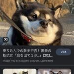 Shioli Kutsuna Instagram –